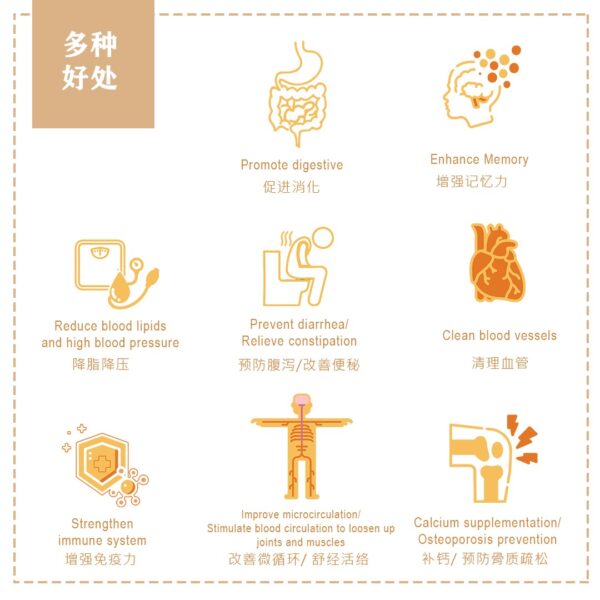 Probiotic Pre & Probiotic Fibre (Elderly) - Image 5