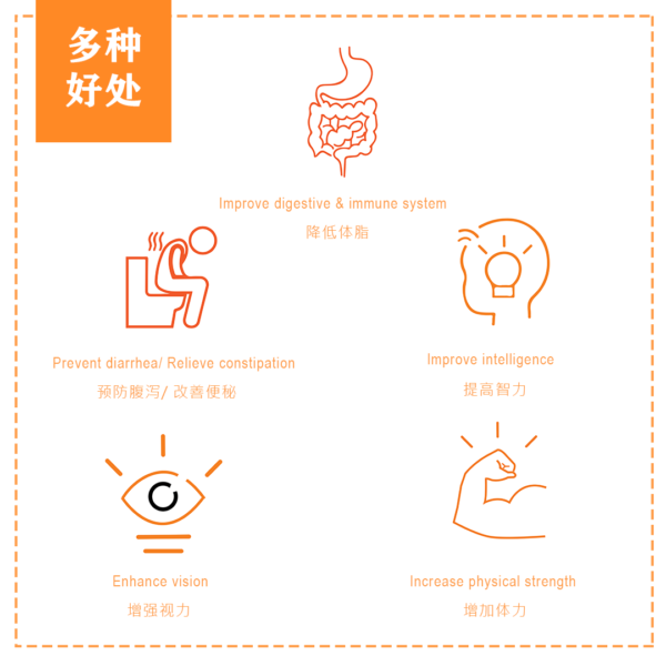 Probiotic Pre & Probiotic Fibre (Kid） - Image 5