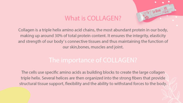 Le Bisou Apple Stem Cell Collagen - Image 5