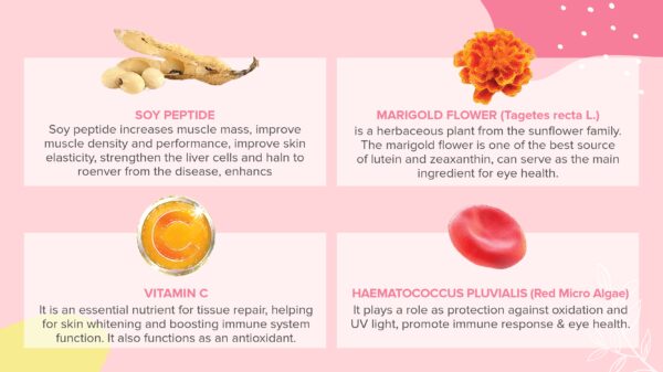 Year-End Beauty Deals - Le Bisou Botanical Beverage Raspberry, Sakura Flower And Collagen【Buy 2 Free 1 Mini Premium Pack】 - Image 6